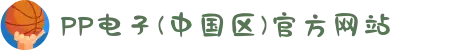 PP电子(中国区)官方网站
